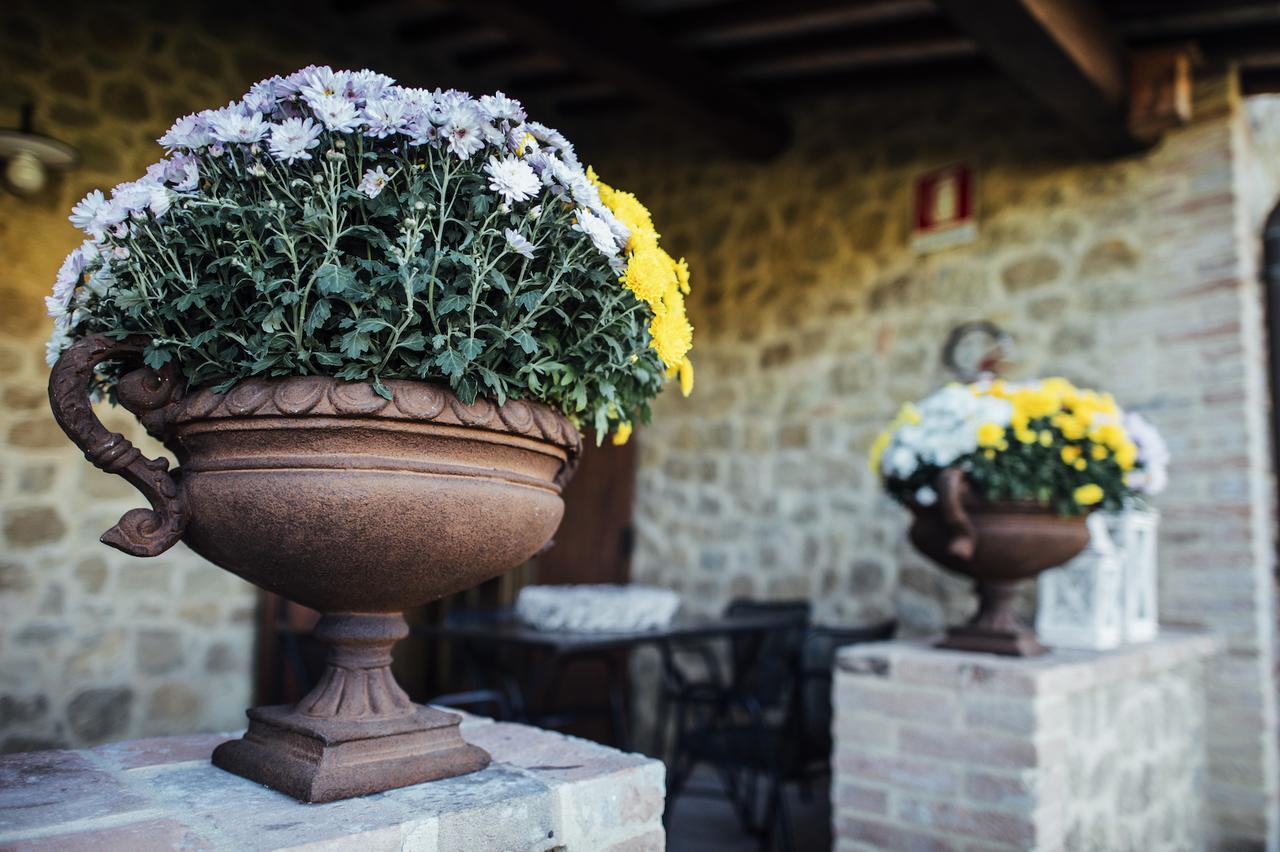 Montepulciano Stazione Borgo Del Faggio 아파트 외부 사진